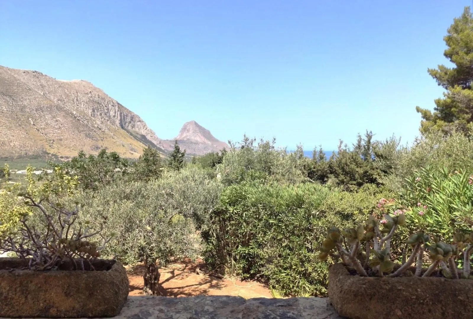 Casa vacanze Casale Degli Ulivi Villa Castelluzzo Italia